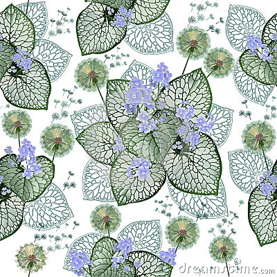 Beautiful openwork brunnera leaves and cute dandelions. Summer light background with bright decorative flowers and leaves. Vector Illustration